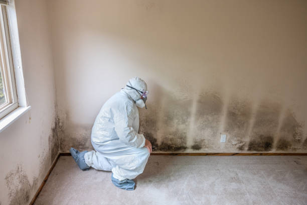 Best Office Mold Removal Services  in South Henderson, NC